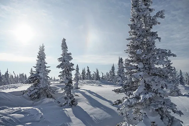 Зимний лес в Шерегеше Зимний лес в Шерегеше