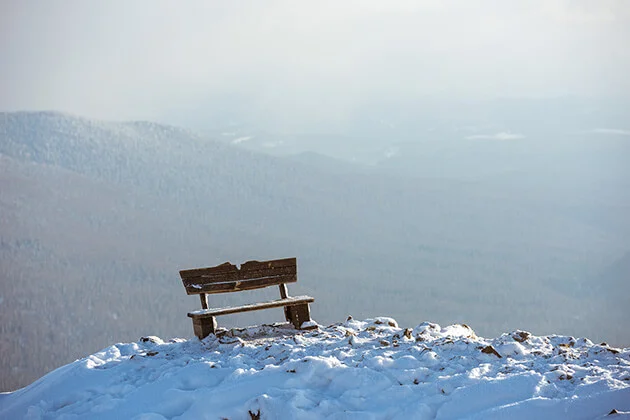 Скамейка на секторе Е Скамейка на секторе Е